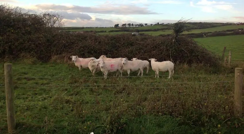 Martleaves Farm