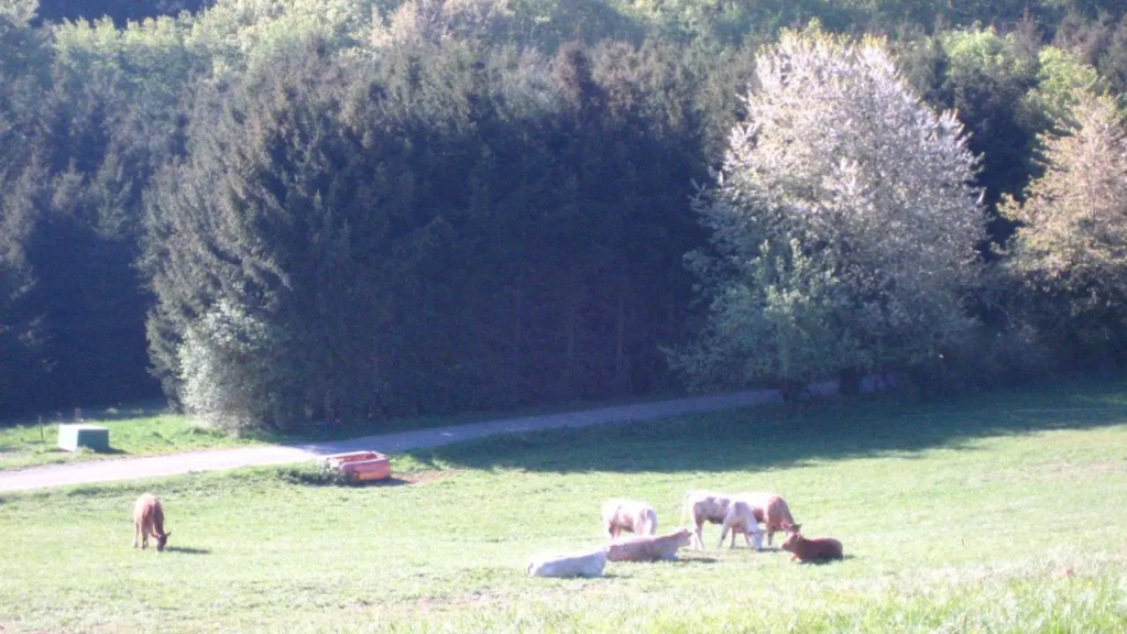 Ferienwohnung Erika