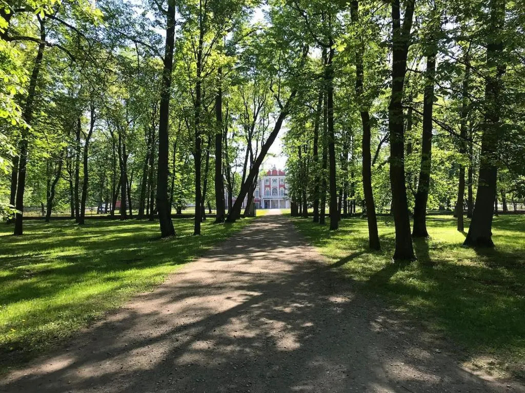 1Bdr Apartment near Kadriorg Swan Pond