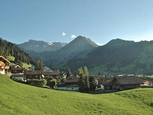 La Sauterelle 12589