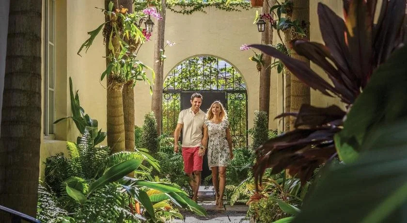The Orchid House