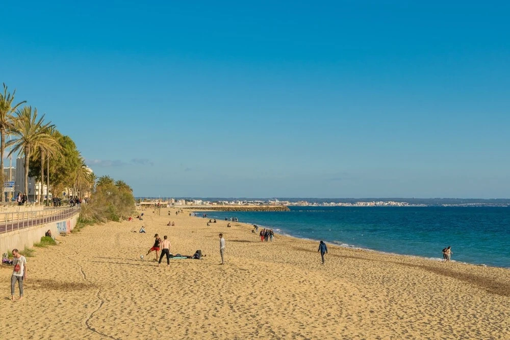 Centric in Palma With 3 Bedrooms and 1 Bathrooms
