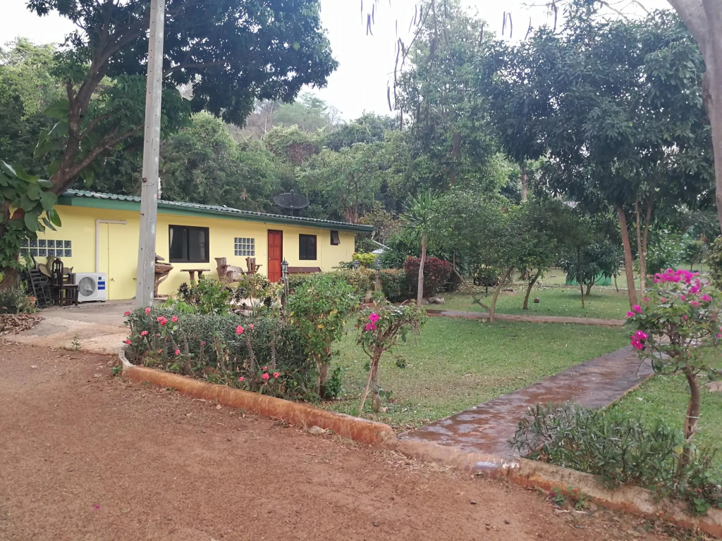 Eden Garden