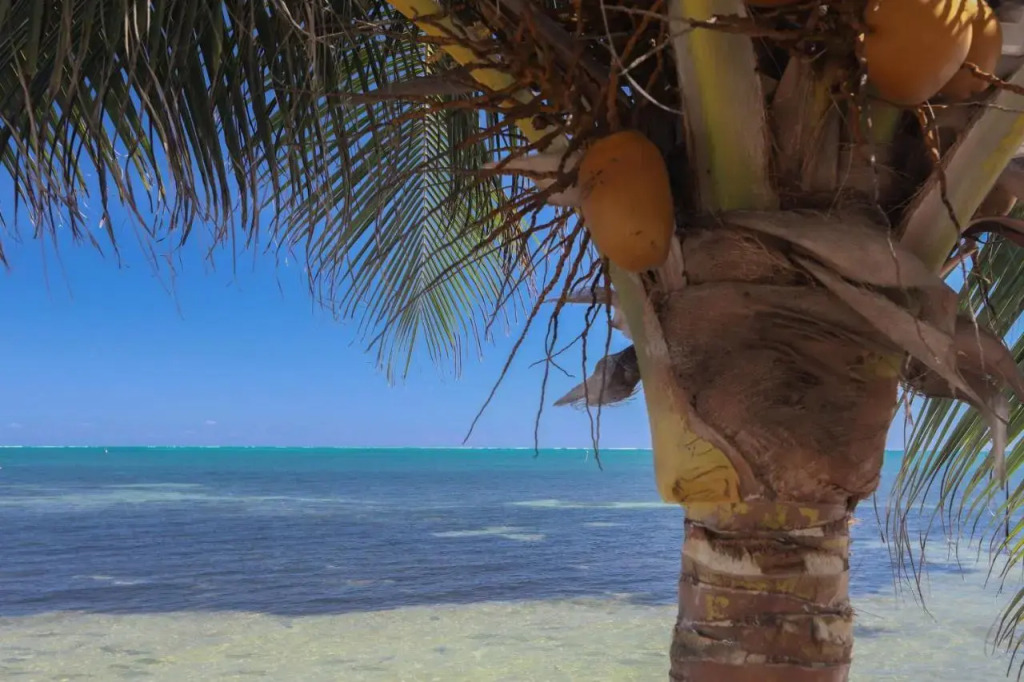 Kokomo Beach Suites