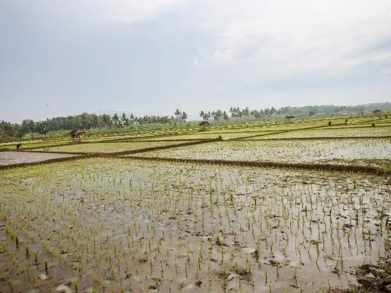OYO Homes 91153 Desa Wisata Kawasen