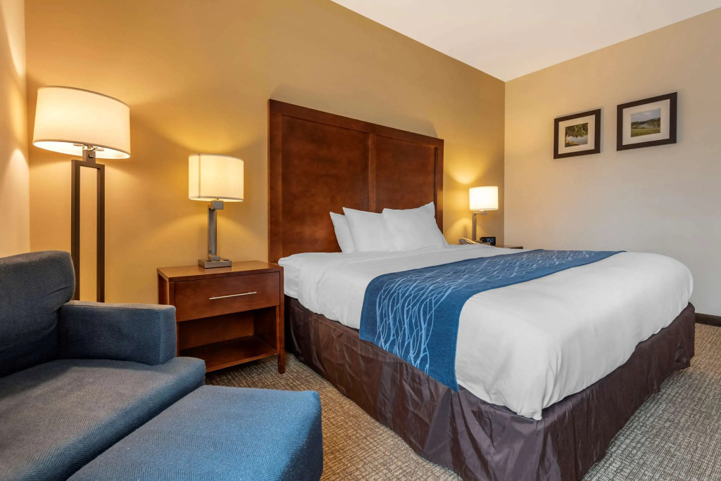 Comfort Inn Apalachin - Binghamton W Route 17