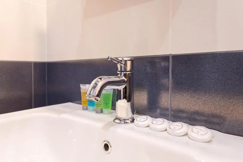 Serviced Apartment on Rustaveli Avenue 9