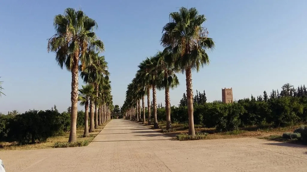Palais Claudio Bravo