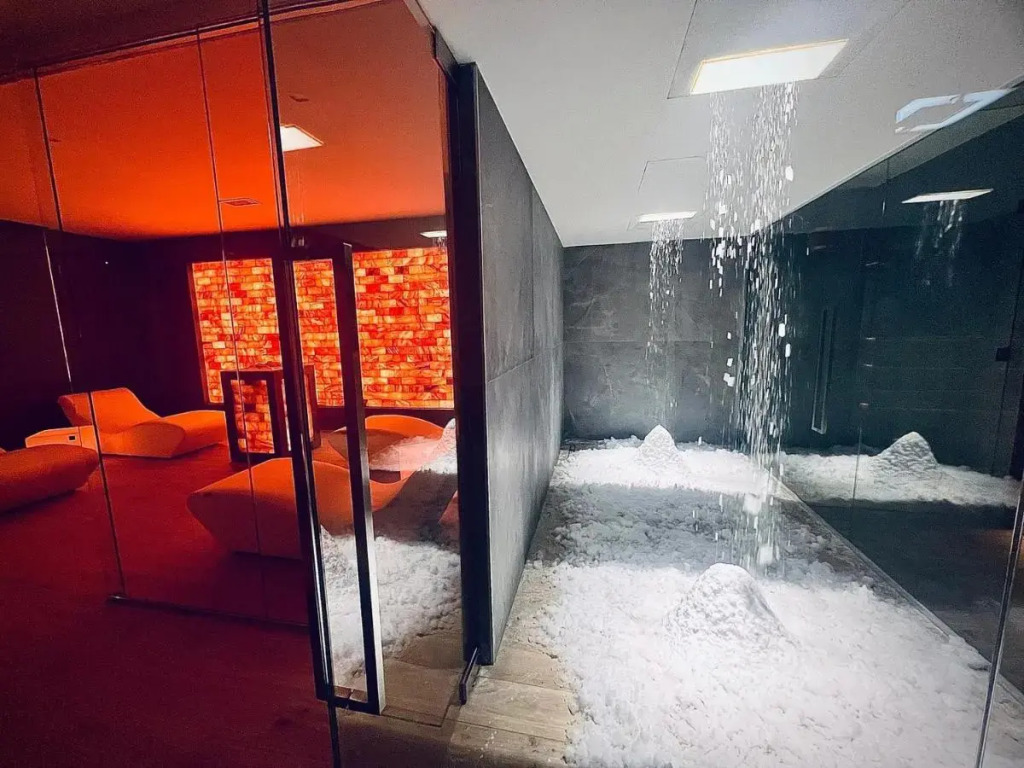 Hotel Lemi
