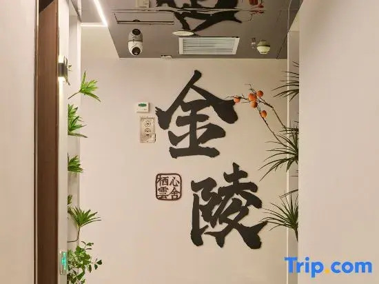 Nanjing Qiyun Xinshe Homestay