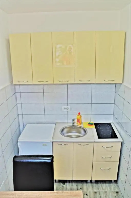 Central Apartment