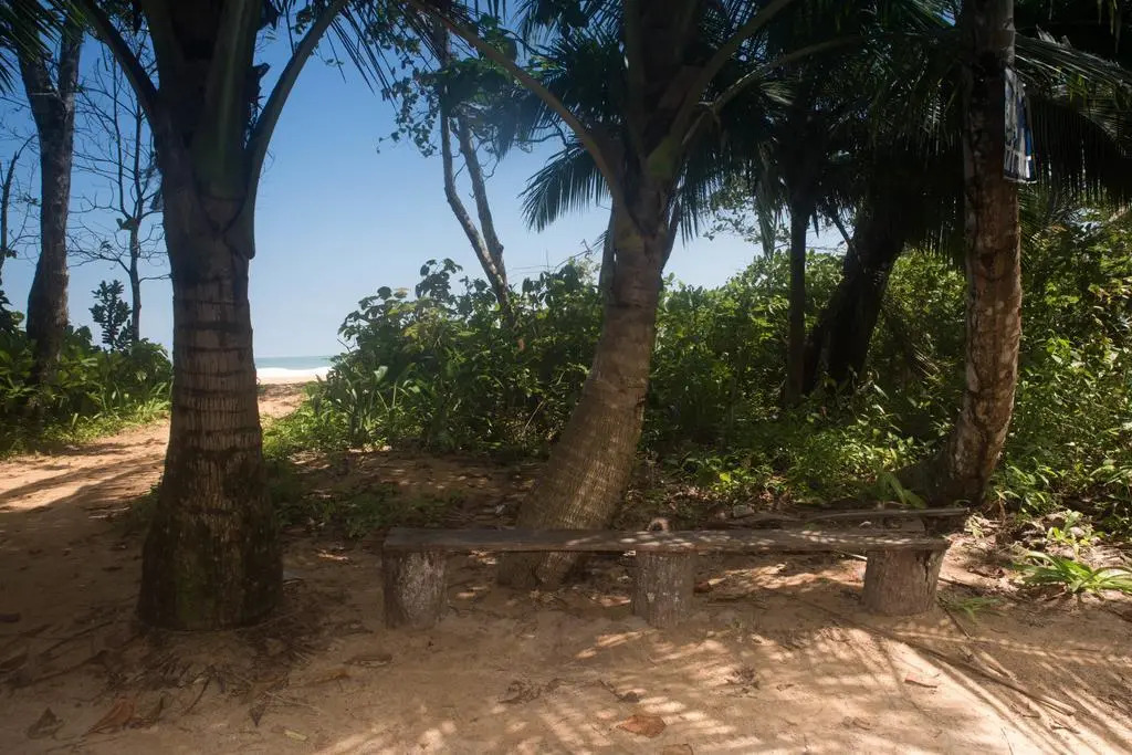 Oasis Bluff Beach