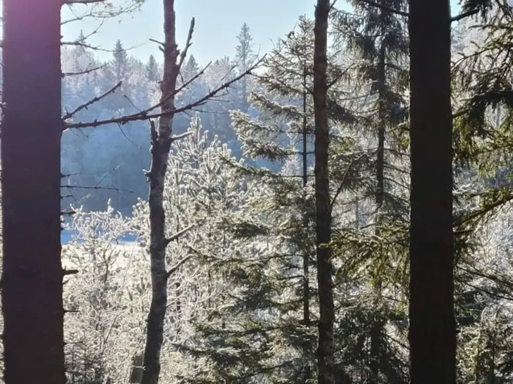 4 Star Holiday Home in Backefors