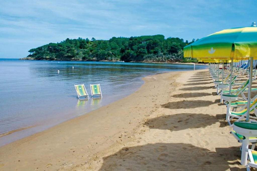 Holiday Park- Studio
