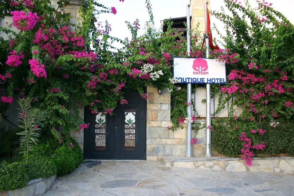 Cotton Boutique Hotel 16+