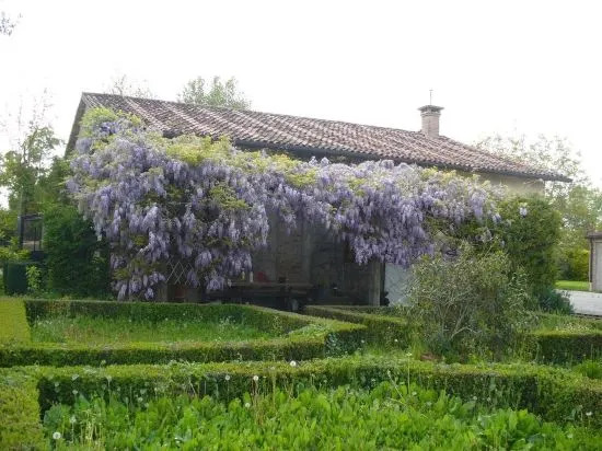 La Corte I Oca