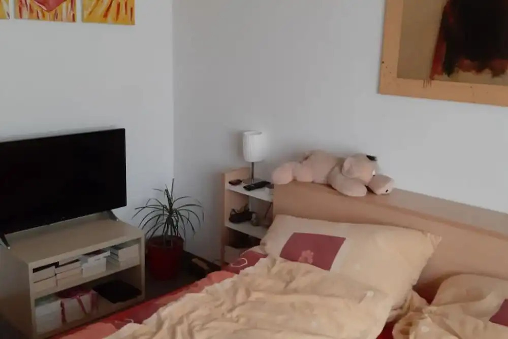 Private Apartment Lulfingweg