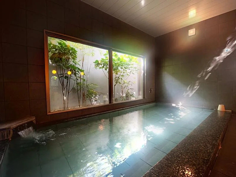 Super Hotel Arai Niigata