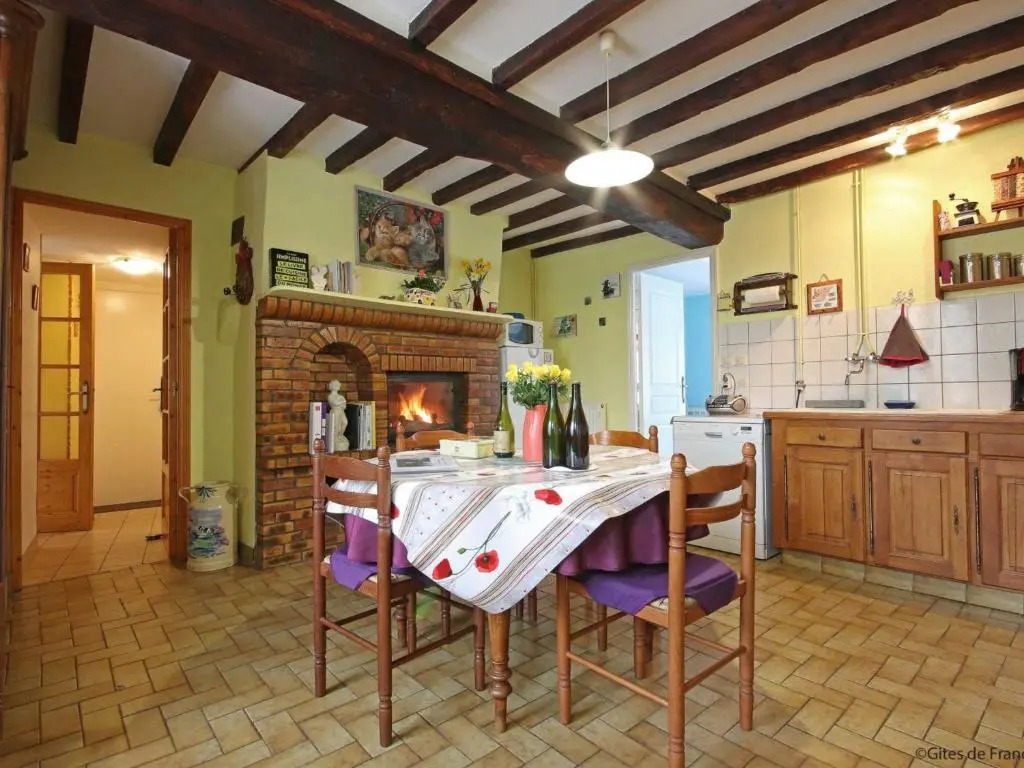 Maison de campagne spacieuse avec grand jardin, animaux acceptés - FR-1-497-99