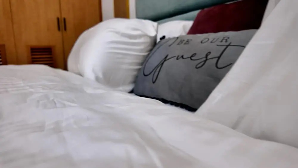 Luxurious Comfort in the Heart of Ikoyi Lagos