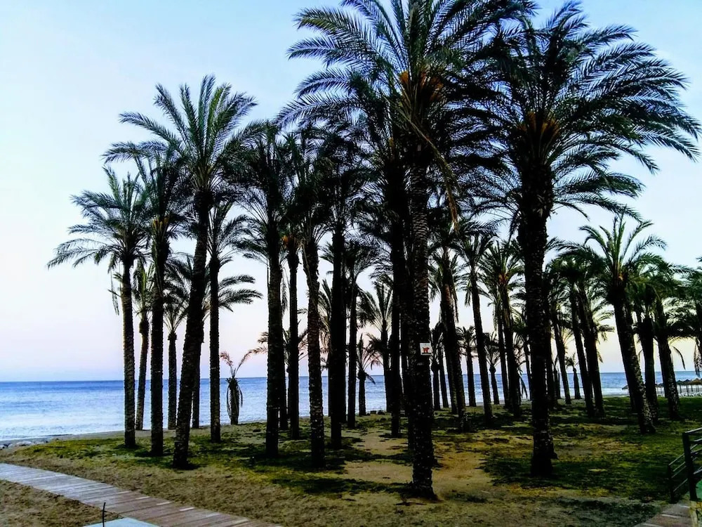 Apartment With one Bedroom in Torremolinos, With Wonderful sea View, Pool Access and Furnished Garden