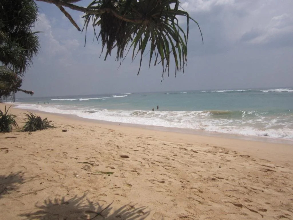 White Surfing Beach Resort