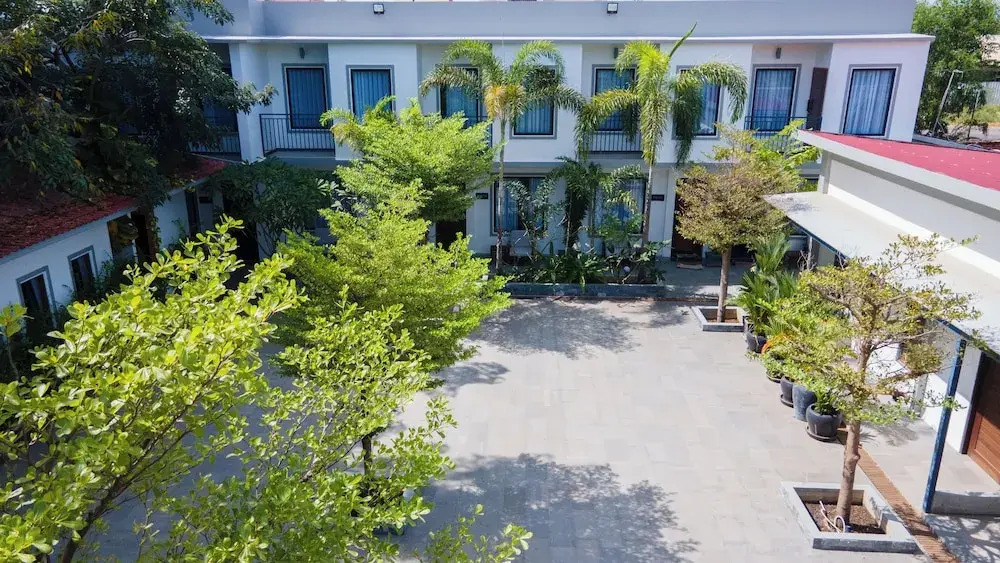 Apartment Green Amazon