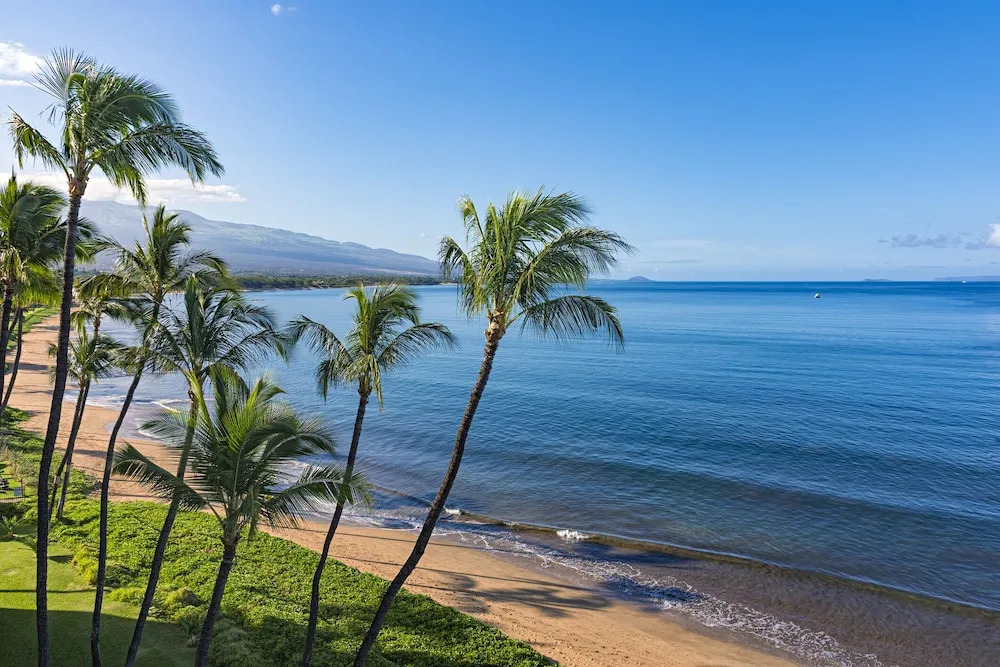 Ocean View W/pool - Across From Kalama Beach 2 Bedroom Condo