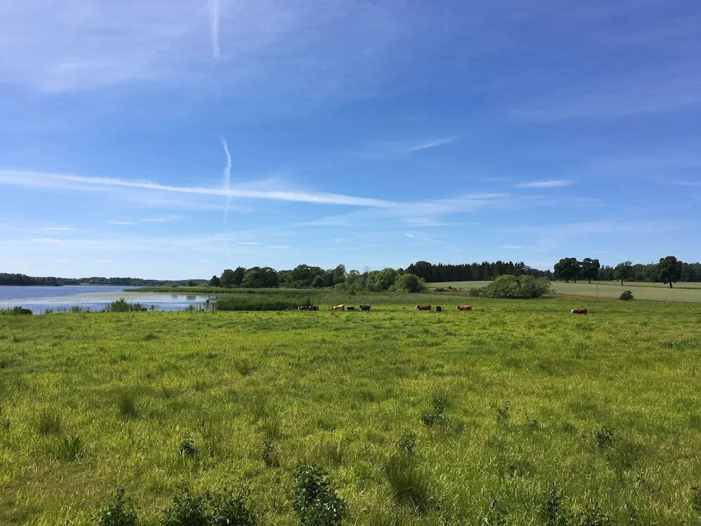Wiks Slott