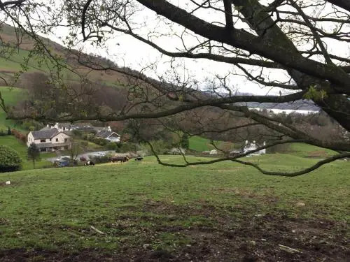 Willowbank
