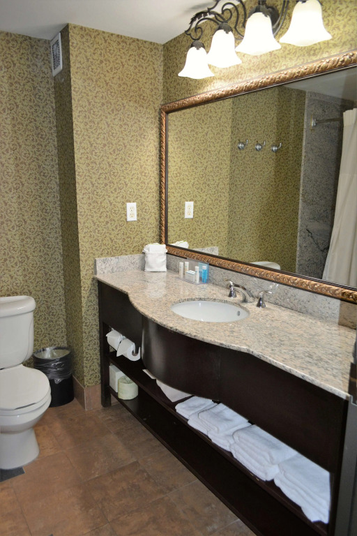 Hampton Inn and Suites Houston-Katy