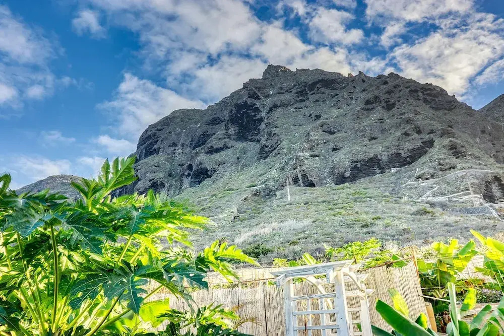Special Home w Tropical Garden Near Seaside
