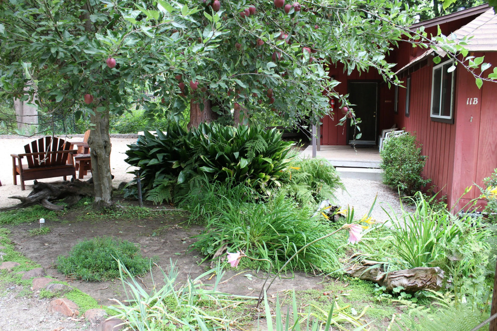 Fern River Resort