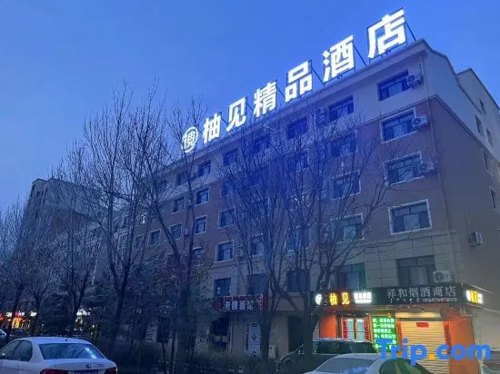 Youjian Boutique Hotel (Bayannur High-Speed Railway Station)