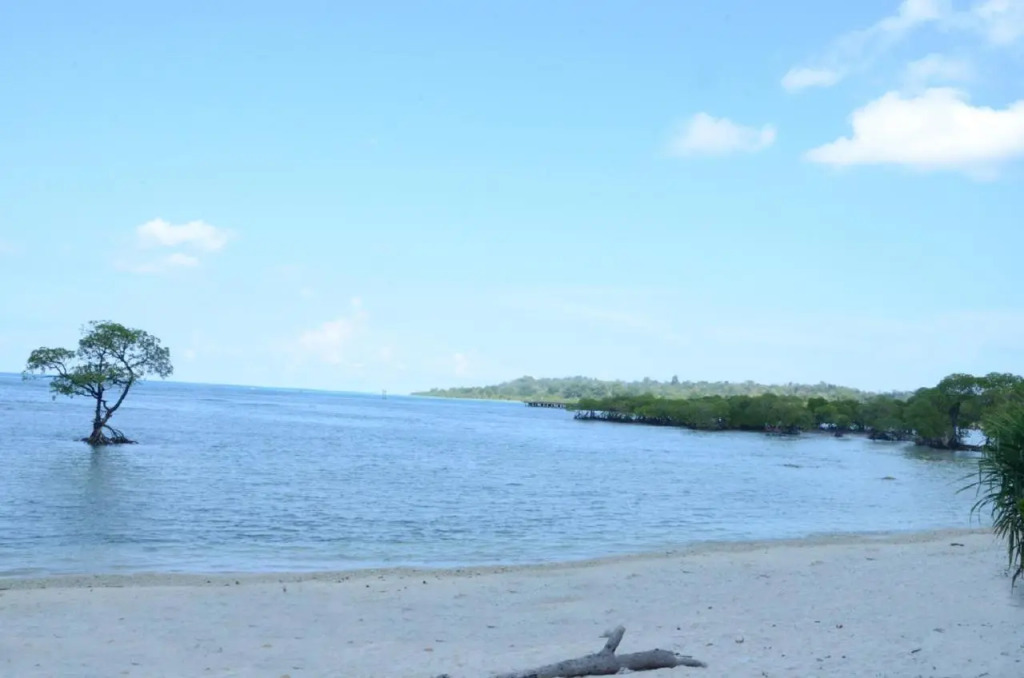 Coconhuts Beach Resort
