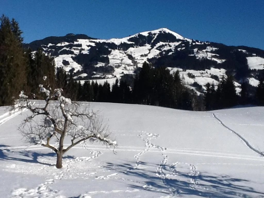 Unterrainhof