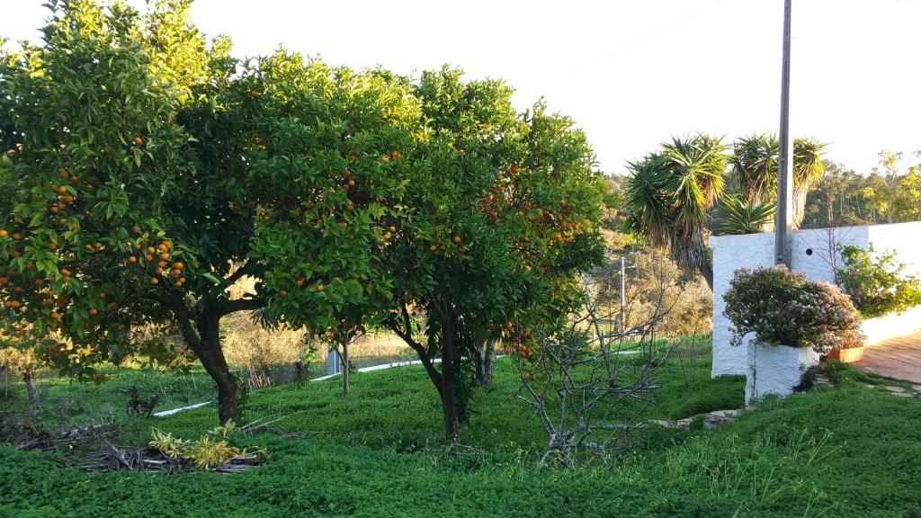 Monte do Altinho
