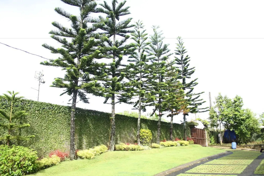 Tagaytay Home by StayHome Asia