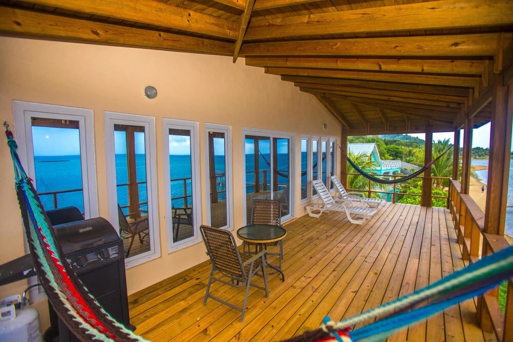 Turtle Casa 6