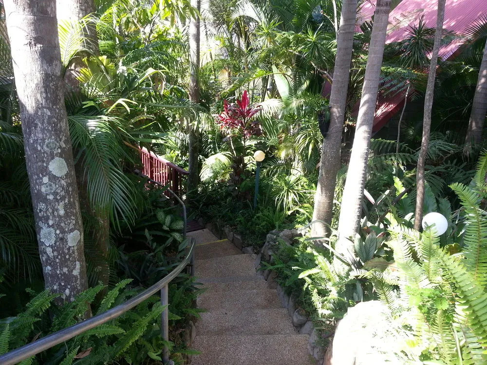 Tropic Oasis