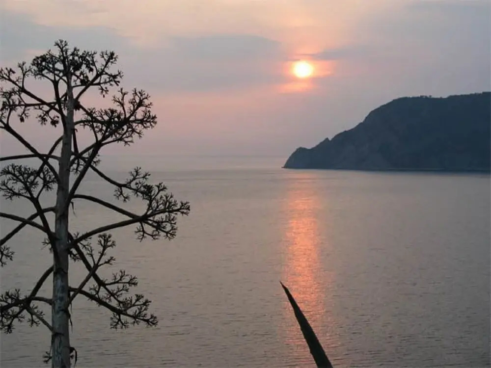 The Sea Terrace Vernazza