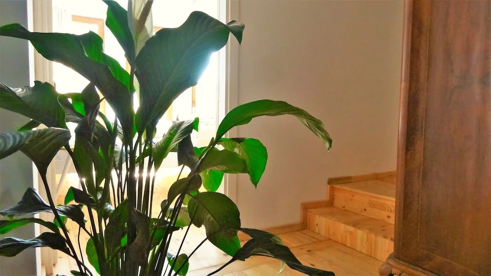 Istanbul Apartments2®