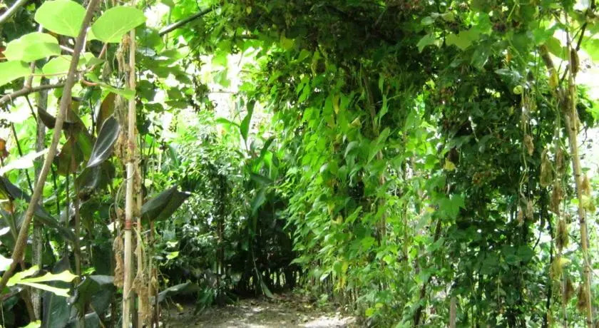 Guest House Rustaveli 38