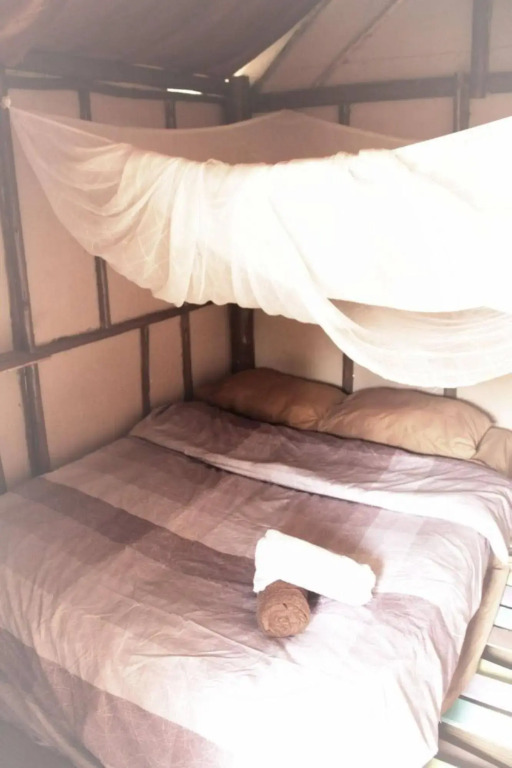 Purple Monkey Backpackers