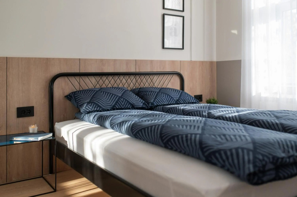Deluxe Dunavska Apartment 4