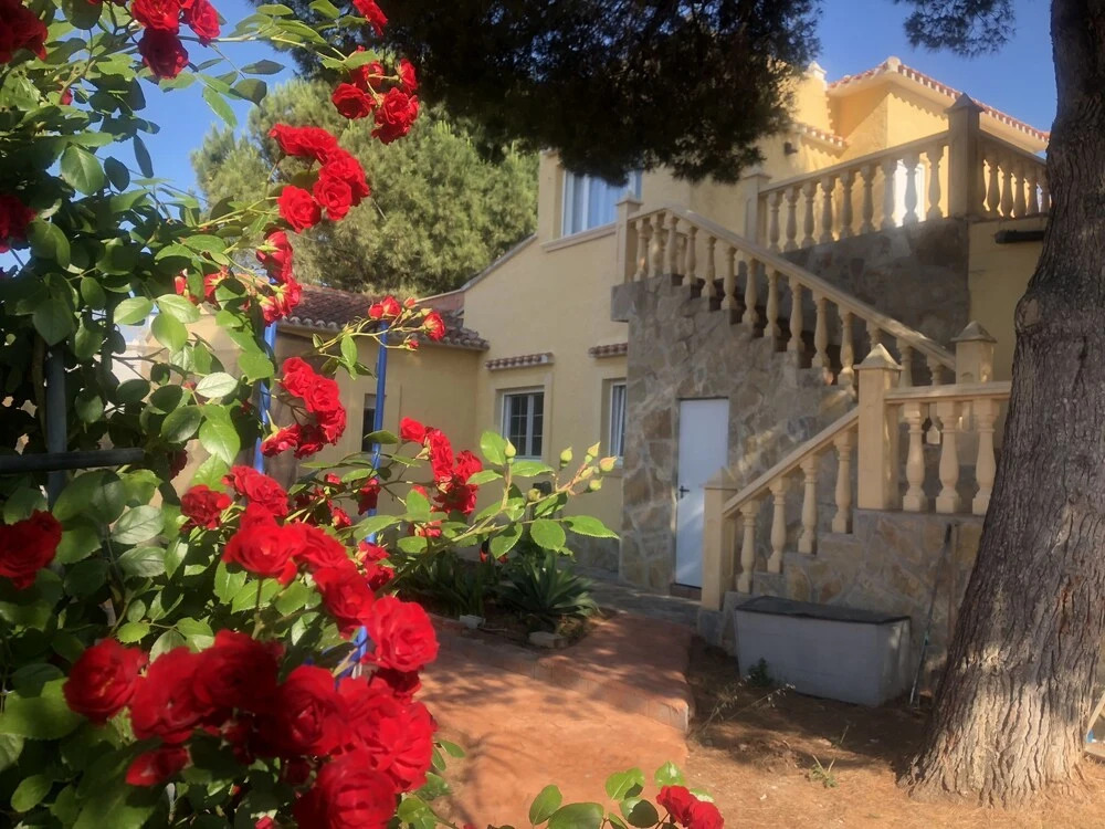 Eliza villa LUX