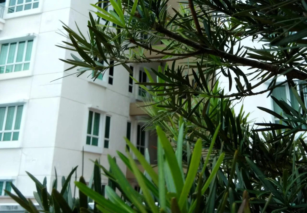 Sabah Apartment @ 1 Borneo