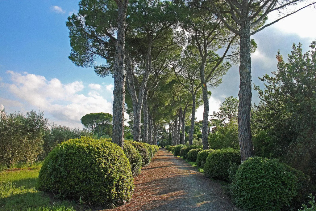 Agriturismo Il Parco di Kipo