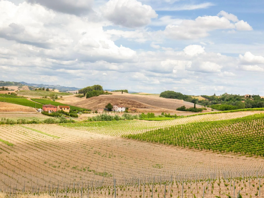 Spacious Tuscany Retreat