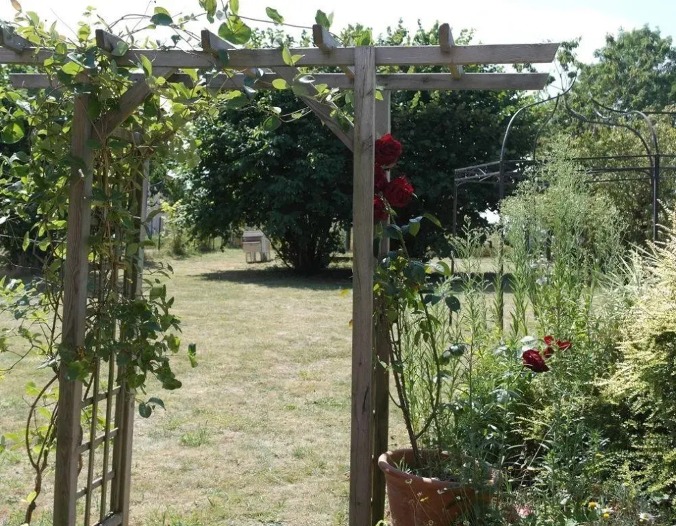 Lemon Tree House